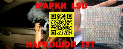 шишки Будённовск