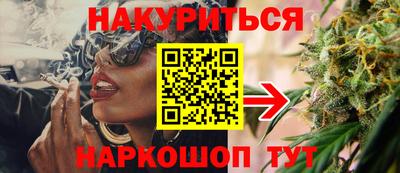 шишки Будённовск