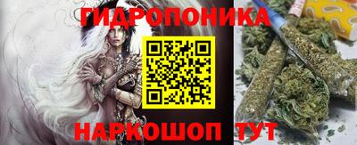 шишки Будённовск