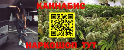 стаф Гудермес