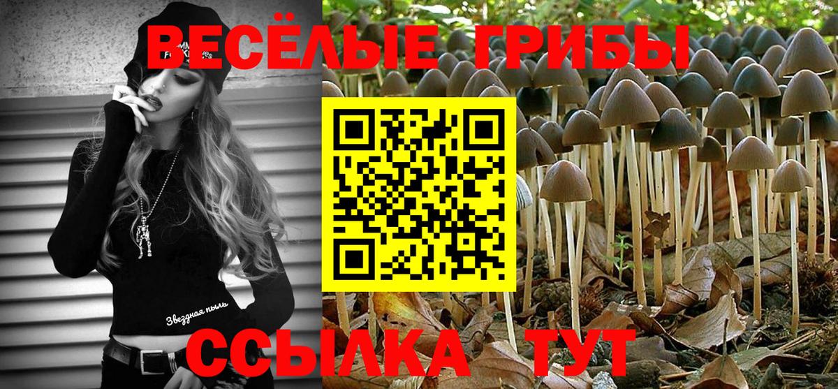 Норильск  Псилоцибиновые грибы Cubensis  Вход с VPN 