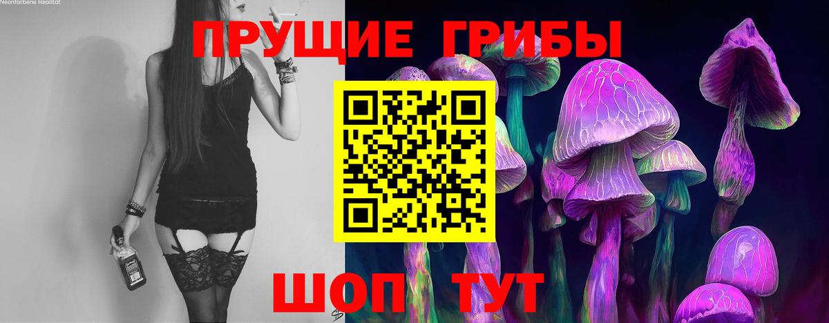Псилоцибиновые грибы мухоморы Норильск
